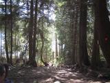 Deep Cove