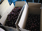 Penticton