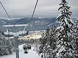 Whistler
