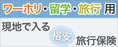 現地で入る旅行保険「Bridges International」