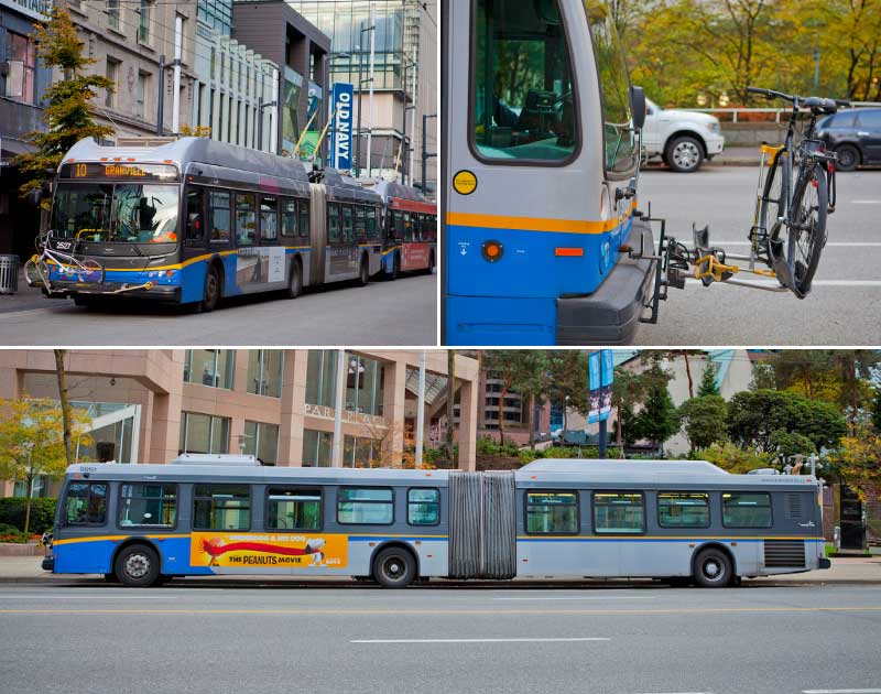 TransLink BUS
